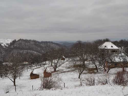 Foto Din Copalnic Deal (c) Petru Goja